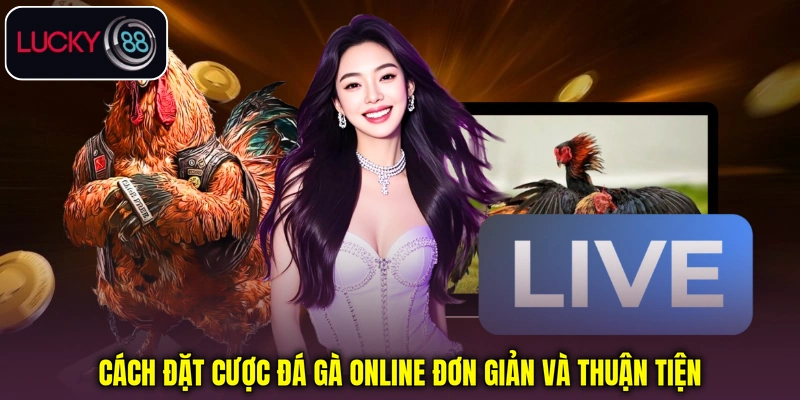 Cách đặt cược đá gà online đơn giản và thuận tiện