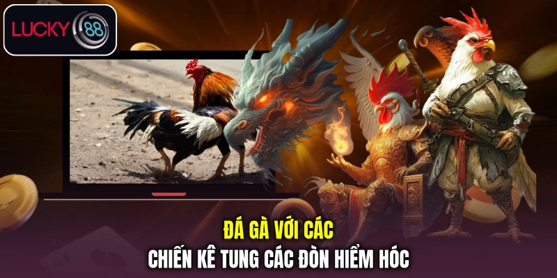 Đá gà LUCKY88 với các chiến kê tung các đòn hiểm hóc