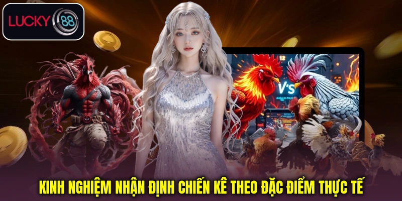 Kinh nghiệm nhận định chiến kê theo đặc điểm thực tế
