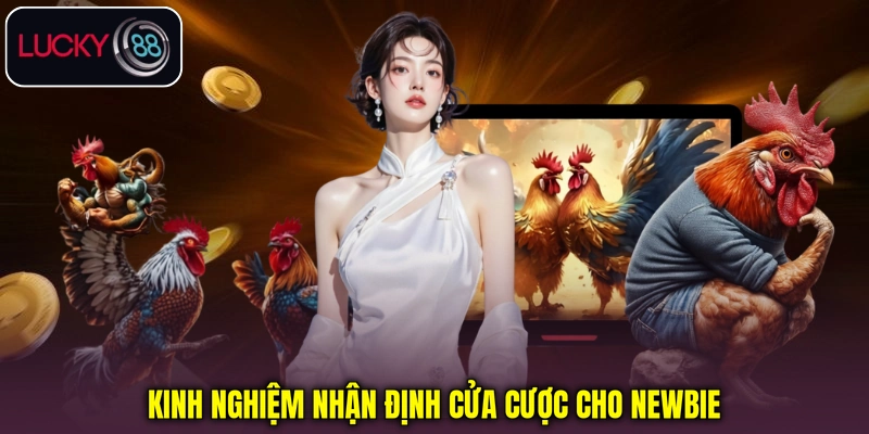 Kinh nghiệm nhận định cửa cược cho newbie