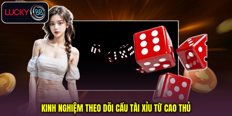 Kinh nghiệm theo dõi cầu Tài Xỉu từ cao thủ