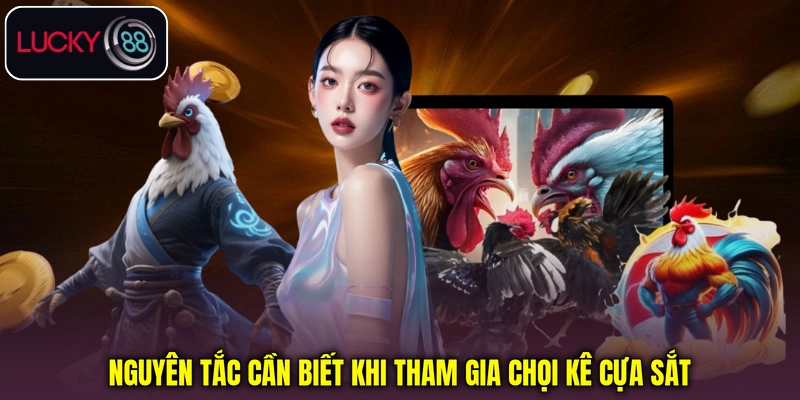 Nguyên tắc cần biết khi tham gia chọi kê cựa sắt
