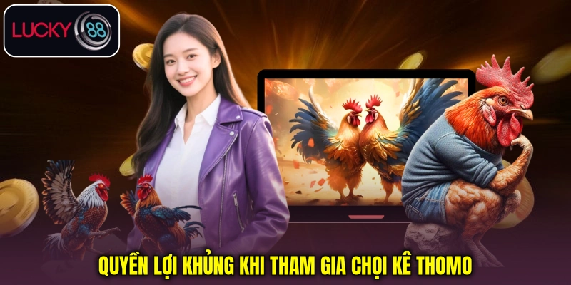 Quyền lợi khủng khi tham gia chọi kê Thomo